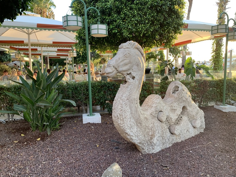 IMG_4703.JPEG