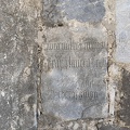 IMG 0798