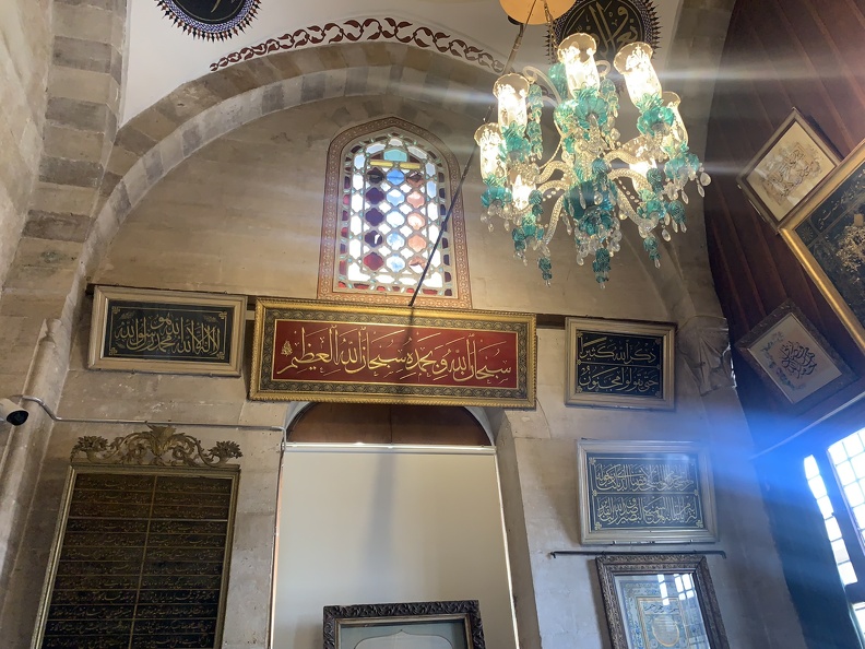 IMG_0210.JPEG
