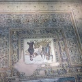 IMG 8853