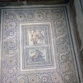 IMG 8888