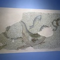 IMG 8898